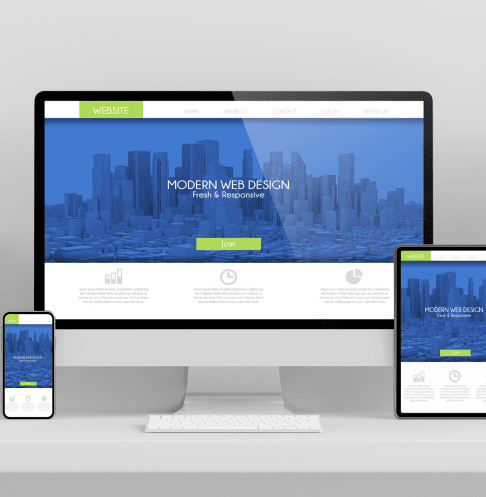 website services for professionals